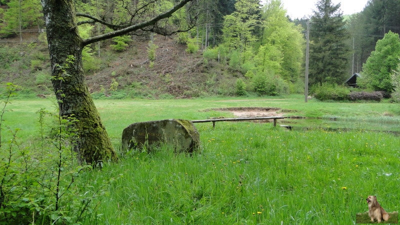 Ritterstein Nr. 202-4b Hier stand der Wolfsaegerhof.JPG - Ritterstein Nr.202 Hier stand der Wolfsaegerhof